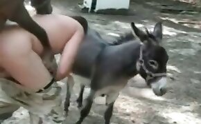 sixbra com - donkey, videos with beastiality